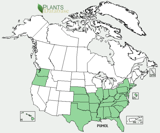 USDA-kudzu-map