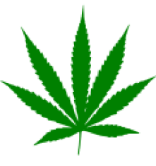 120px-Cannabis_leaf.svg