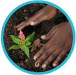 child-hands-gardening