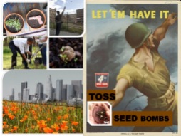 Toss seedbombs to heal your own community;everything good comes from plants