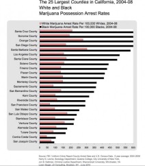 maijuana black whites arrest graph1-620x708