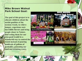 Mike Brown Walnut Park School Goal: