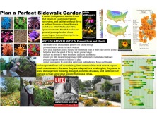 Plan a Perfect Sidewalk garden-all kids